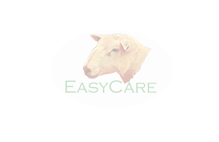 Easy Care Sheep placeholder image